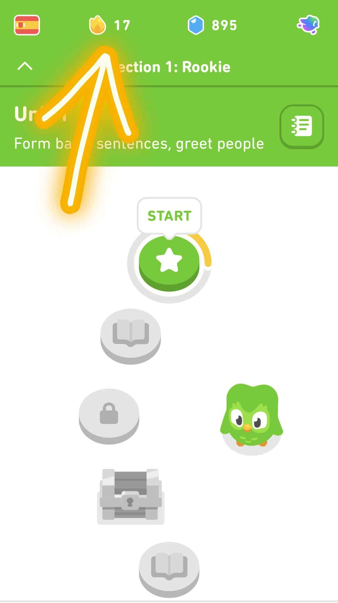 what-is-the-longest-duolingo-streak-in-2023-duo-streak