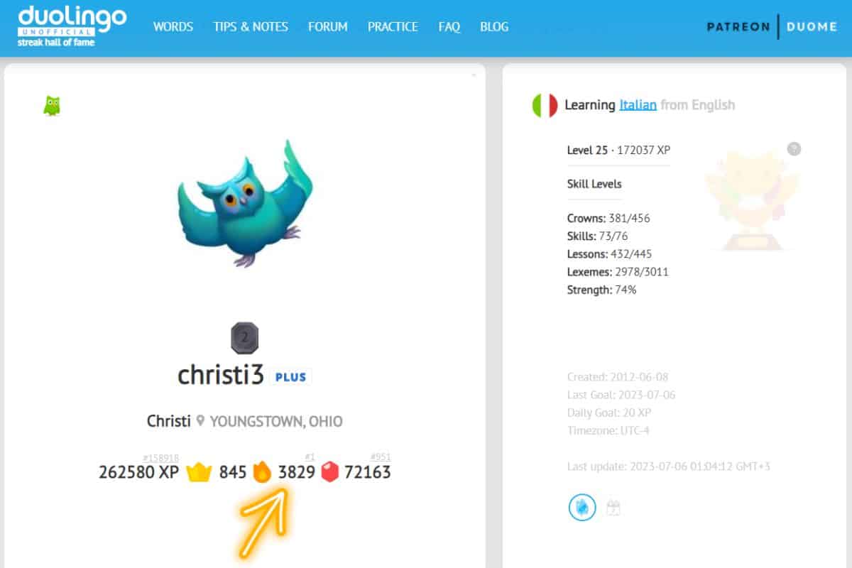 How to find the longest duolingo streak on Duome